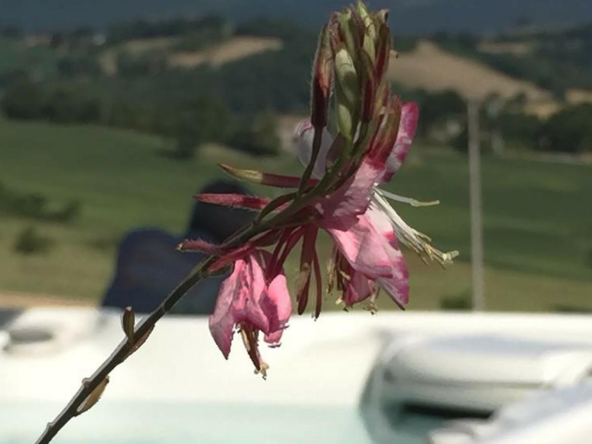 Serre Alte Landscape Luxury Rooms Matelica Exterior foto